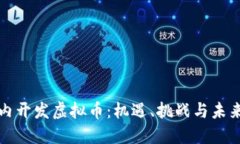 在国内开发虚拟币：机遇、挑战与未来展望