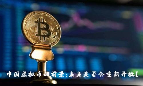 中国虚拟币的前景:未来是否会重新开放?