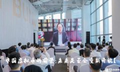 中国虚拟币的前景：未来是否会重新开放？