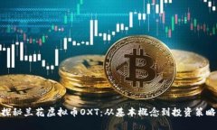 探秘兰花虚拟币OXT：从基本概念到投资策略