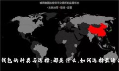 虚拟币钱包的种类与选择：都是什么，如何选择