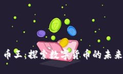 虚拟币币王：探索数字货币的未来与潜力