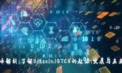 虚拟币解析：了解Bitcoin（BTC）的起源、发展与未