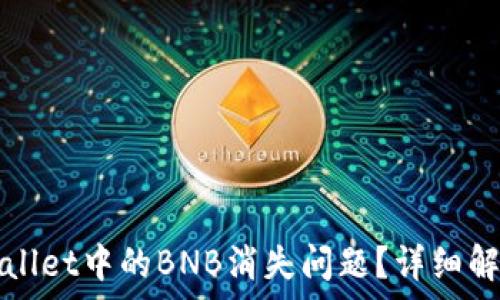   
如何解决TPWallet中的BNB消失问题？详细解析与解决方案