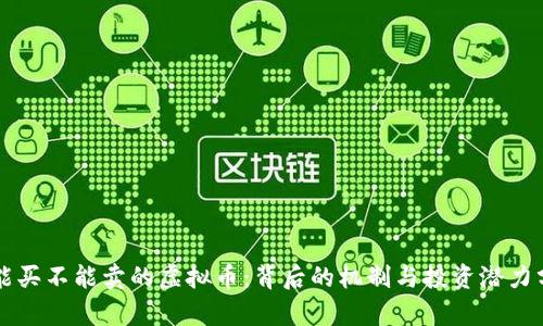 只能买不能卖的虚拟币：背后的机制与投资潜力分析