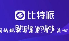 TPWallet在中国的现状与未来：用户关心的关键问题