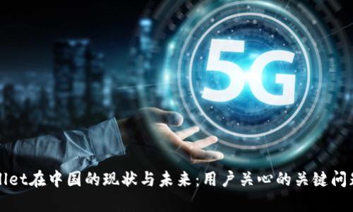 TPWallet在中国的现状与未来：用户关心的关键问题解析