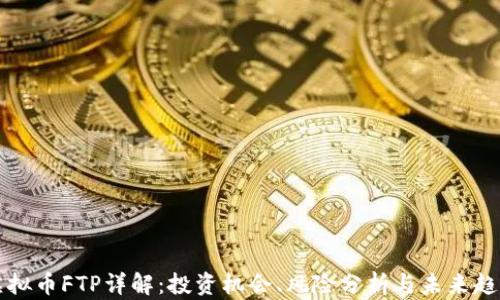 
虚拟币FTP详解：投资机会、风险分析与未来趋势