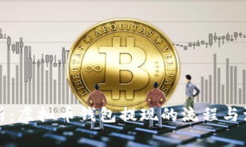 全面解析：虚拟币钱包提现的流程与注意事项