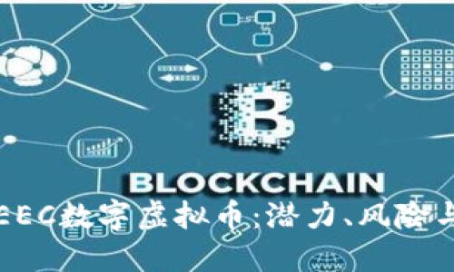 全面解读EEC数字虚拟币：潜力、风险与未来展望