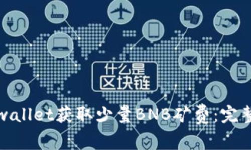 如何通过tpwallet获取少量BNB矿费：完整指南与技巧