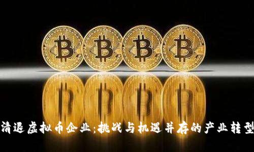 彻底清退虚拟币企业：挑战与机遇并存的产业转型之路