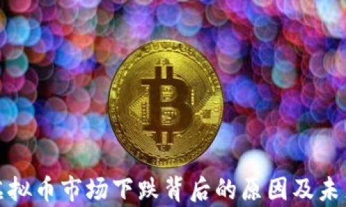 
分析虚拟币市场下跌背后的原因及未来走势