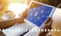 虚拟币在中国交易荒了：未来发展与投资机会的