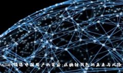 TPWallet清退中国用户的背后：区块链钱包的未来与