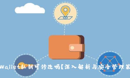 TPWallet私钥可修改吗？深入解析与安全管理策略
