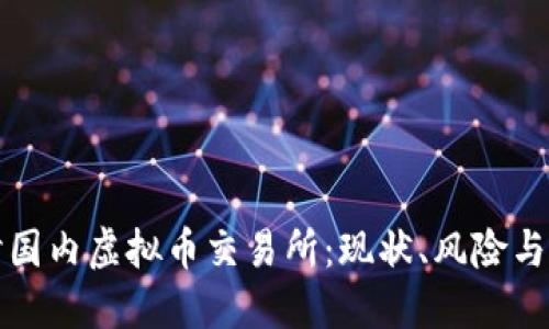 深入探讨国内虚拟币交易所：现状、风险与未来发展