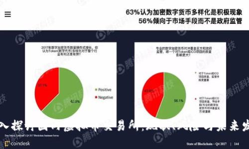 深入探讨国内虚拟币交易所：现状、风险与未来发展