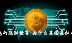 探索虚拟币钱包的隐秘世界：为什么某些虚拟币