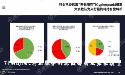 TPWallet停止服务的原因解析及未来展望