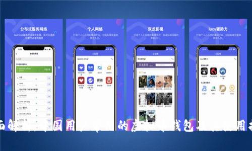 全面解析：中国用户常用的虚拟币钱包及其使用指南