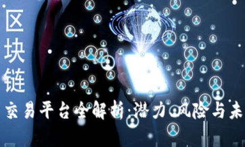 虚拟币交易平台全解析：潜力、风险与未来趋势