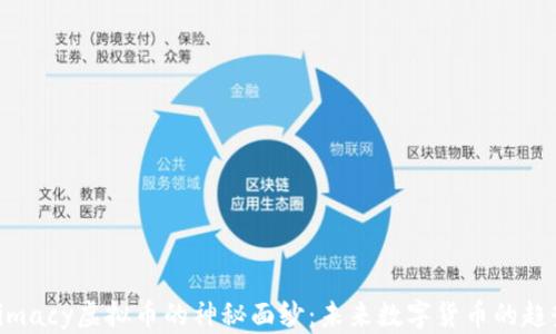 
揭开Intimacy虚拟币的神秘面纱：未来数字货币的趋势与机遇