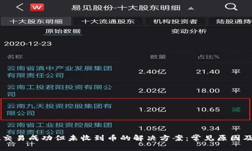 TPWallet交易成功但未收到币的解决方案：常见原因及处理方法